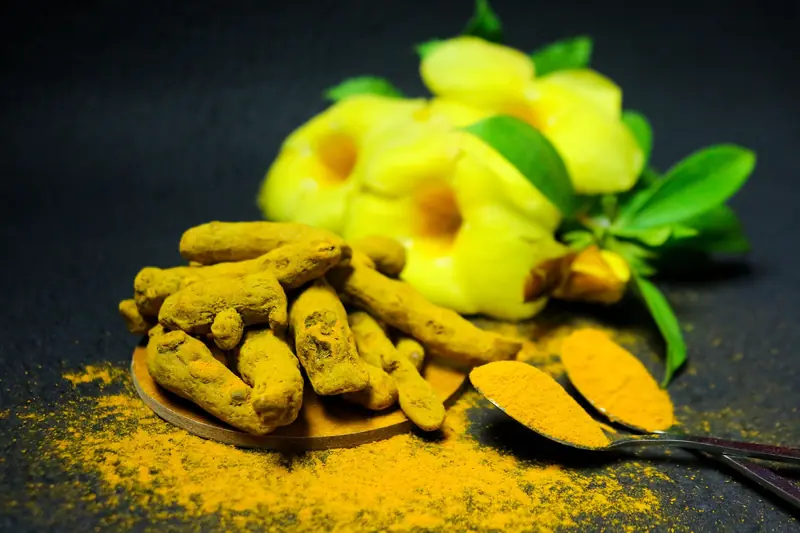 Turmeric roots and golden powder beside yellow flowers